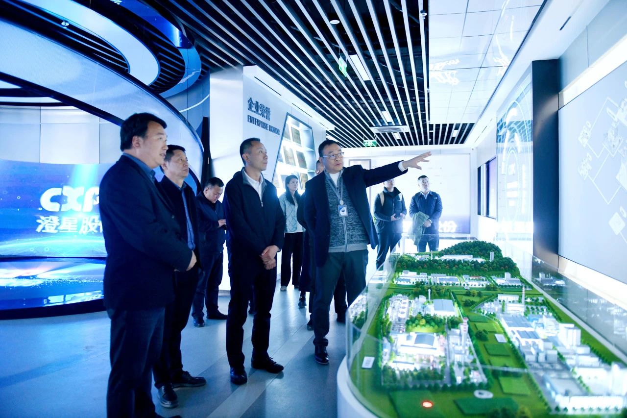 曲靖市會(huì)澤縣王正宇縣長(zhǎng)一行到訪澄星股份